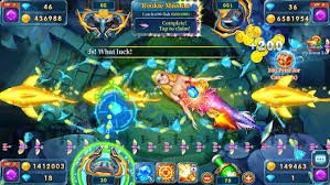 Player guide and glossary